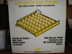 GQF Hova Bator Automatic egg turner